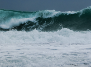 Fiori e preghiere per commemorare i corpi recuperati sulle coste della Sicilia e della Calabria